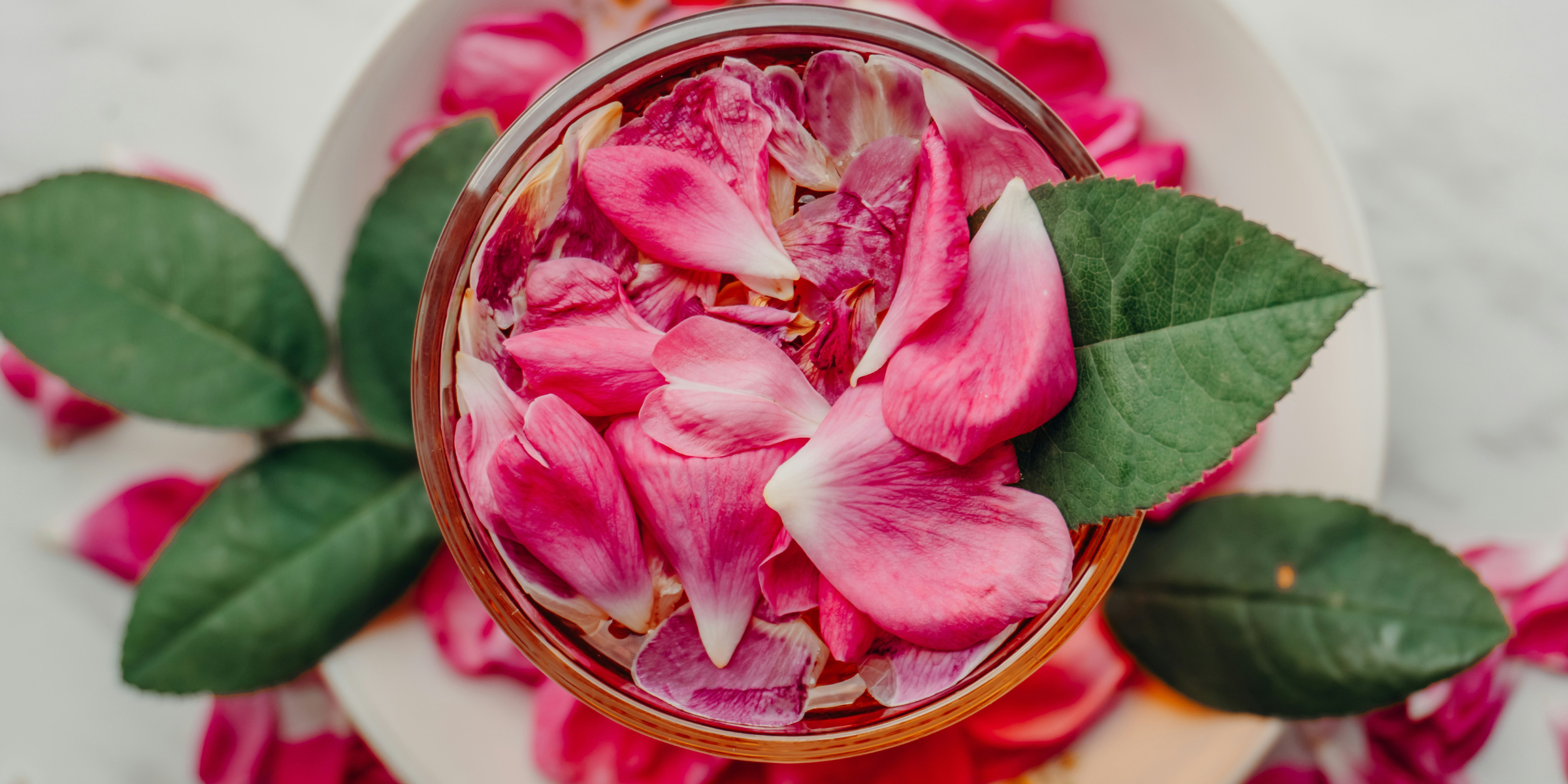5,000 Years of Botanical Skincare: Oils, Hydrosols, and Butters
